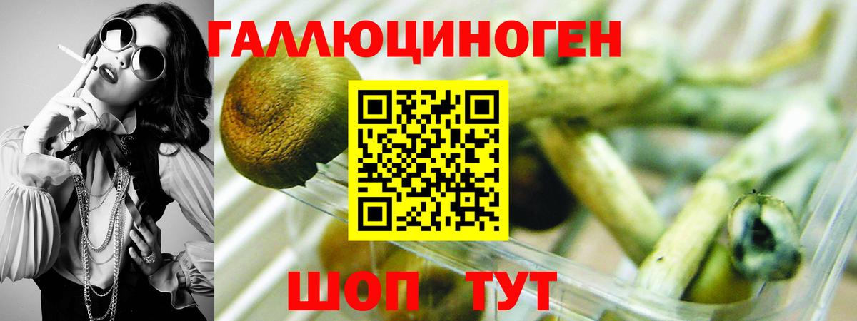 Псилоцибиновые грибы Cubensis Рубцовск